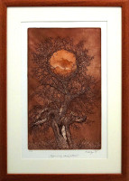 Herbert Kisza - Vzpomínky staré jabloně - grafika 